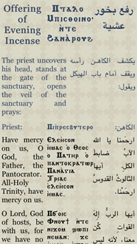 coptic reader full version coptic reader full version