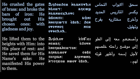 coptic reader on windows