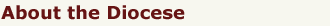 About the Diocese